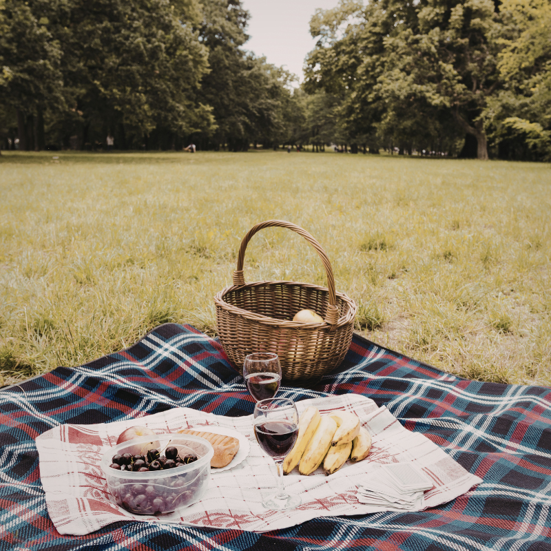 Bereaved Family Picnic