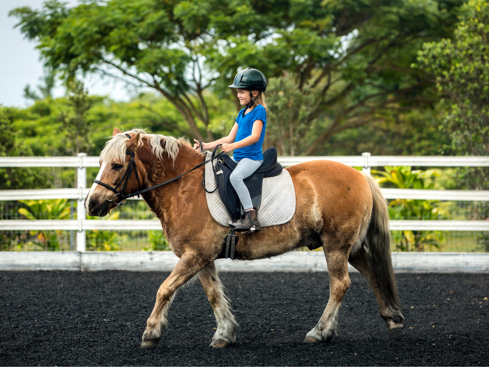 Mid-Willamette Valley Horseback Riding